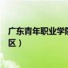 广东青年职业学院白云校区多大（广东青年职业学院白云校区）