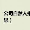 公司自然人指的是什么（公司自然人是什么意思）