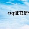 ciq证书是什么意思（CIQ是什么意思）