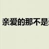 亲爱的那不是爱情含义（亲爱的这不是爱情）