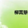柳蒿芽的功效与作用（柳蒿芽）