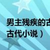 男主残疾的古代小说男主是王爷（男主残疾的古代小说）