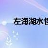 左海湖水怪之谜完整版（左海湖水怪）