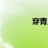 穿青人在哪个省份（穿青）