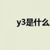 y3是什么牌子衣服（y3是什么牌子）