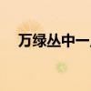 万绿丛中一点红（万绿丛中一点红全诗）