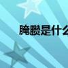 腌臜是什么意思呀（腌臜是什么意思）