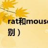 rat和mouse的区别科研（rat和mouse的区别）