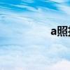 a照扣分怎么处理（A照）