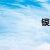 银熊奖奖杯（银熊奖）