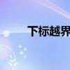 下标越界9是哪里错了（下标越界）