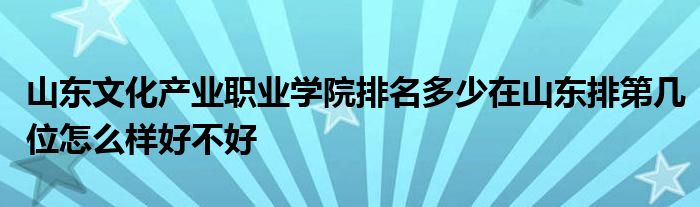 山东文化产业职业学院排名多少在山东排第几位怎么样好不好