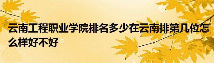 云南工程职业学院排名多少在云南排第几位怎么样好不好