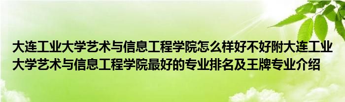 大连工业大学艺术与信息工程学院怎么样好不好附大连工业大学艺术与信息工程学院最好的专业排名及王牌专业介绍