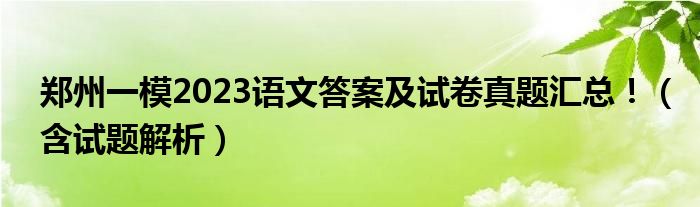 郑州一模2023语文答案及试卷真题汇总！（含试题解析）