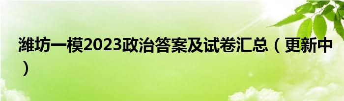 潍坊一模2023政治答案及试卷汇总（更新中）