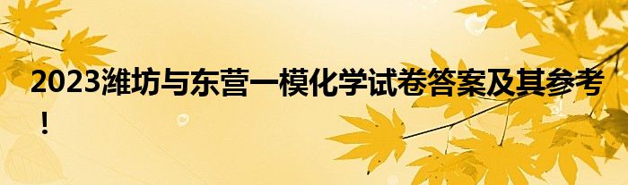 2023潍坊与东营一模化学试卷答案及其参考！