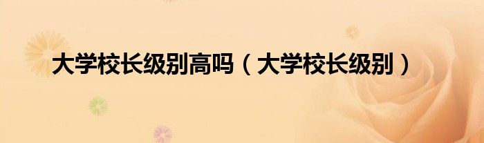 大学校长级别高吗（大学校长级别）