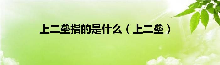上二垒指的是什么（上二垒）