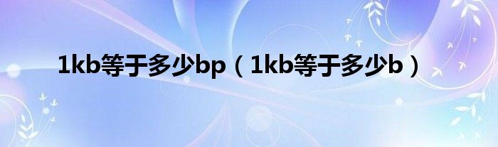1kb等于多少bp（1kb等于多少b）