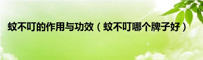 蚊不叮的作用与功效（蚊不叮哪个牌子好）