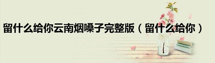 留什么给你云南烟嗓子完整版（留什么给你）