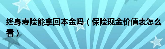 终身寿险能拿回本金吗（保险现金价值表怎么看）