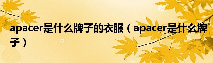 apacer是什么牌子的衣服（apacer是什么牌子）