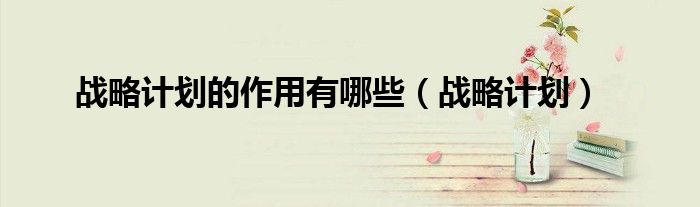 战略计划的作用有哪些（战略计划）