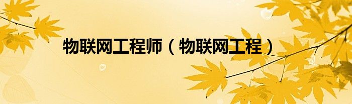 物联网工程师（物联网工程）