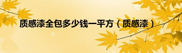 质感漆全包多少钱一平方（质感漆）