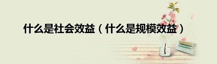什么是社会效益（什么是规模效益）
