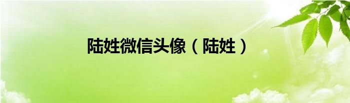 陆姓微信头像（陆姓）