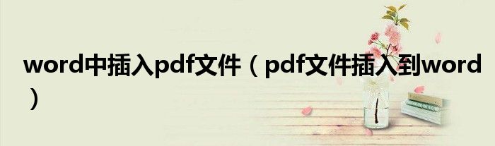 word中插入pdf文件（pdf文件插入到word）