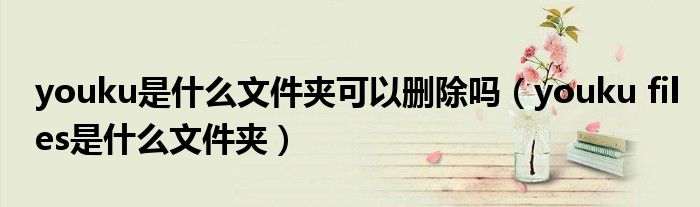 youku是什么文件夹可以删除吗（youku files是什么文件夹）