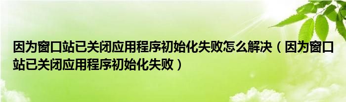 因为窗口站已关闭应用程序初始化失败怎么解决（因为窗口站已关闭应用程序初始化失败）