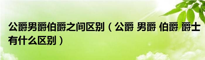 公爵男爵伯爵之间区别（公爵 男爵 伯爵 爵士有什么区别）