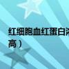红细胞血红蛋白浓度偏高肺部感染（红细胞血红蛋白浓度偏高）