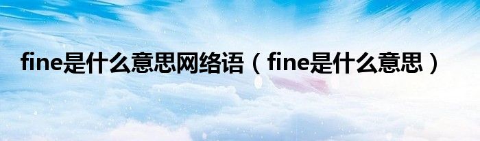 fine是什么意思网络语（fine是什么意思）