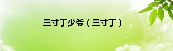 三寸丁少爷（三寸丁）
