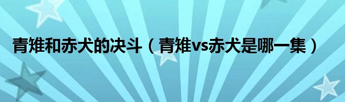 青雉和赤犬的决斗（青雉vs赤犬是哪一集）