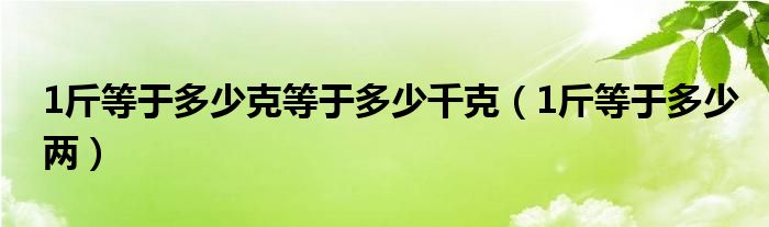 1斤等于多少克等于多少千克（1斤等于多少两）
