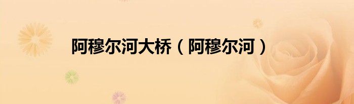 阿穆尔河大桥（阿穆尔河）