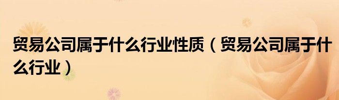 贸易公司属于什么行业性质（贸易公司属于什么行业）