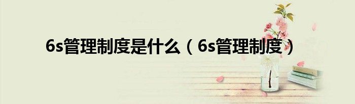 6s管理制度是什么（6s管理制度）