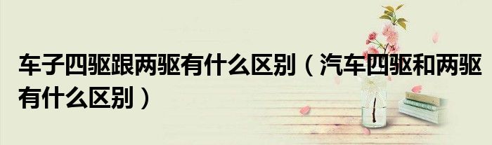 车子四驱跟两驱有什么区别（汽车四驱和两驱有什么区别）