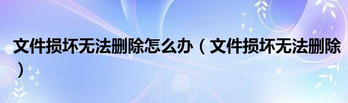 文件损坏无法删除怎么办（文件损坏无法删除）