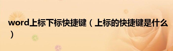 word上标下标快捷键（上标的快捷键是什么）