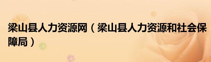 梁山县人力资源网（梁山县人力资源和社会保障局）