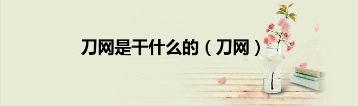 刀网是干什么的（刀网）